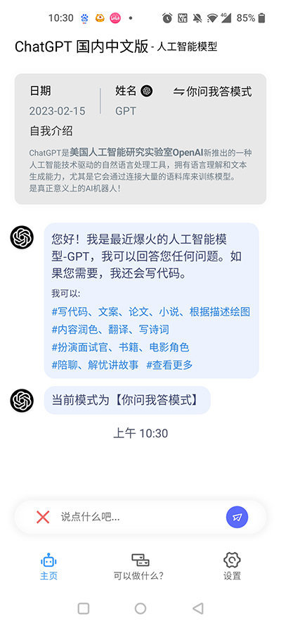 ChatGPT国外版