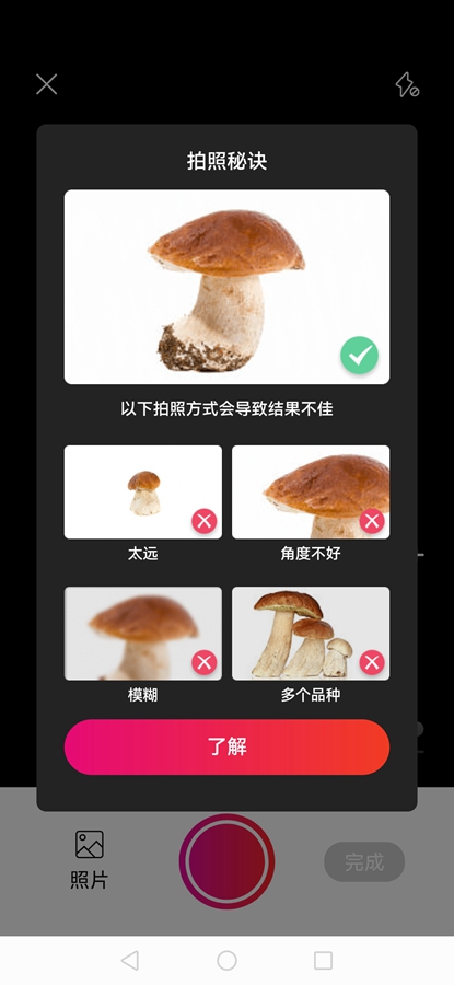 Picture Mushroom专业破解版