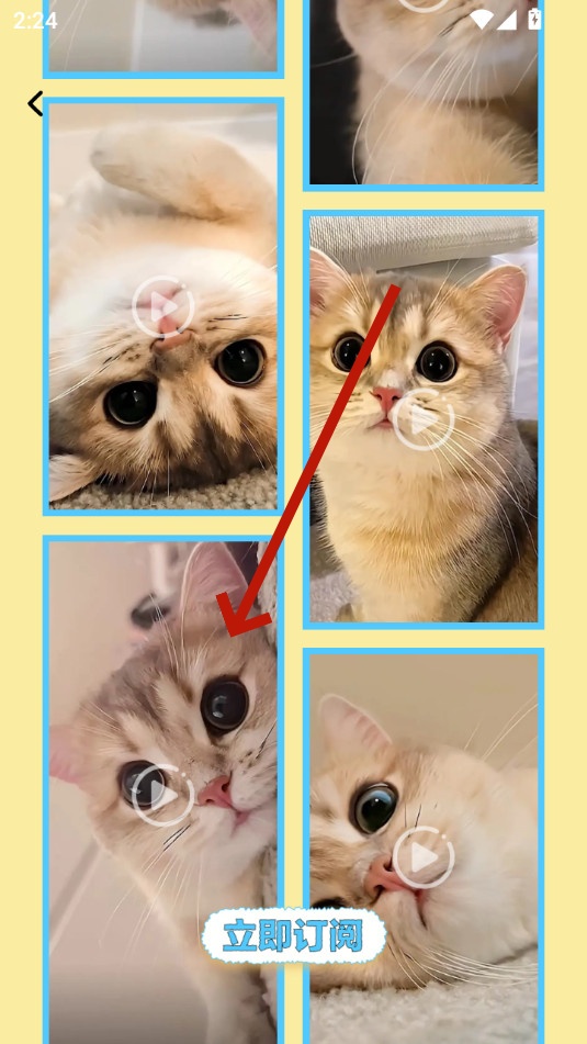 92云壁纸app