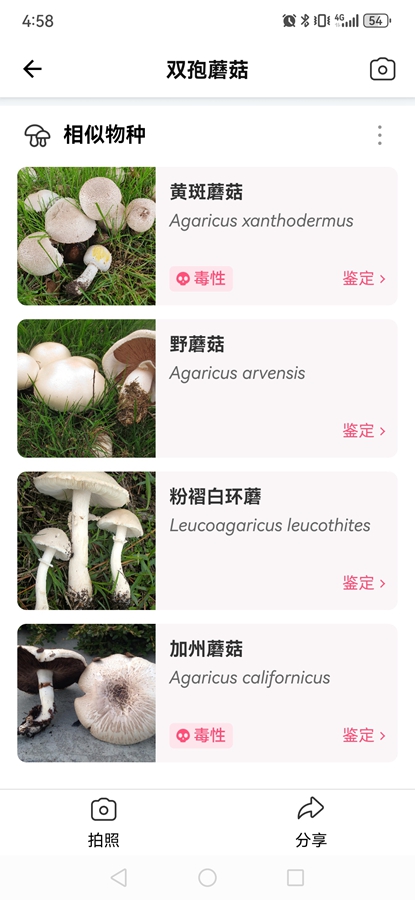 Picture Mushroom专业破解版