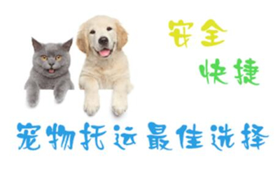 托运宠物