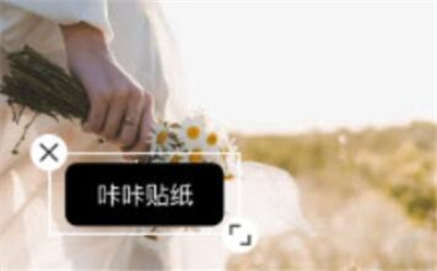 咔咔贴纸