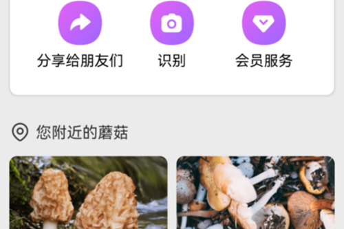 Picture Mushroom专业破解版
