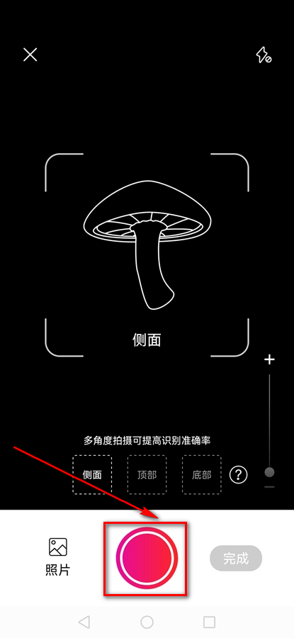 Picture Mushroom专业破解版