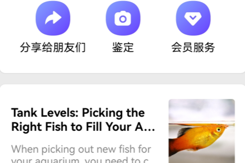 Picture Fish解锁高级版