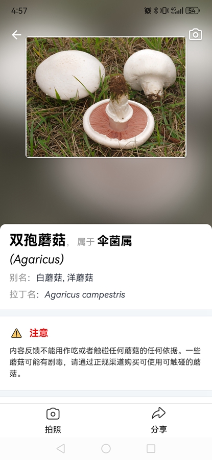 Picture Mushroom专业破解版