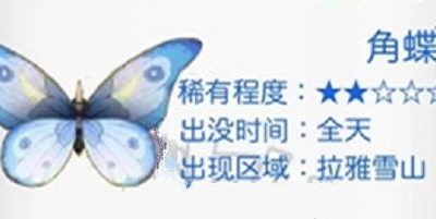 摩尔庄园角蝶在哪里？