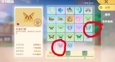 摩尔庄园风筝灯蝶在哪里？