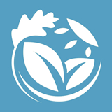 坚道夫企慧 V1.0.0最新版